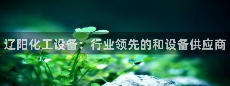 新宝gg一创造奇迹代理测速