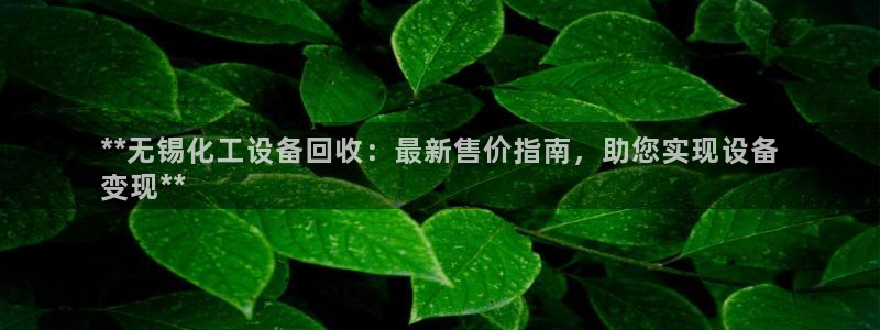 新宝gg平台登录手机版