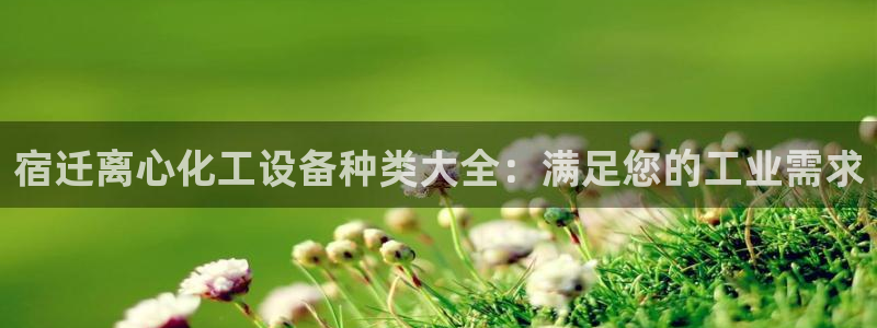 新宝gg创造奇迹怎么登录不上去