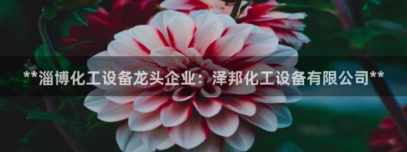 新宝gg—创造奇迹登录官网