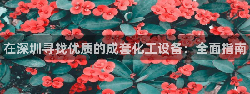 新宝gg账号注册平台