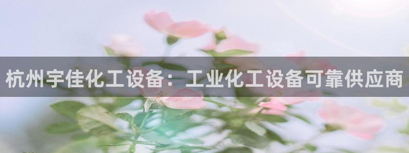 新宝GG平台负责人