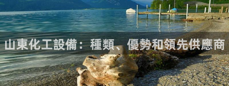 新宝gg最新更新内容与历史回顾