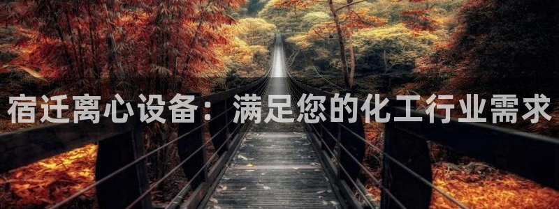 新宝gg官网登录代理