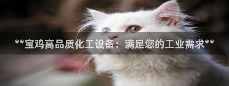 新宝gg创造奇迹为什么登录不了了