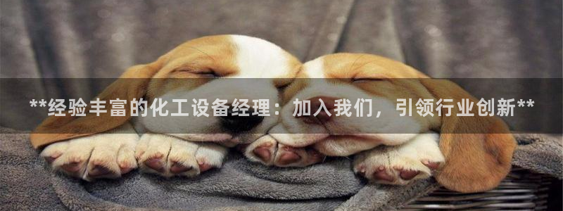新宝gg创造奇迹官网