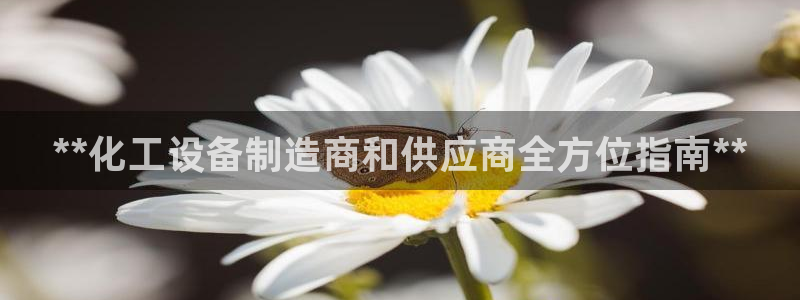 新宝gg创造奇迹平台登录入口