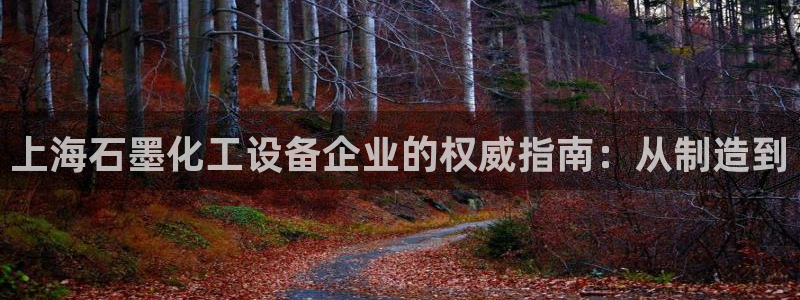 新宝gg案件
