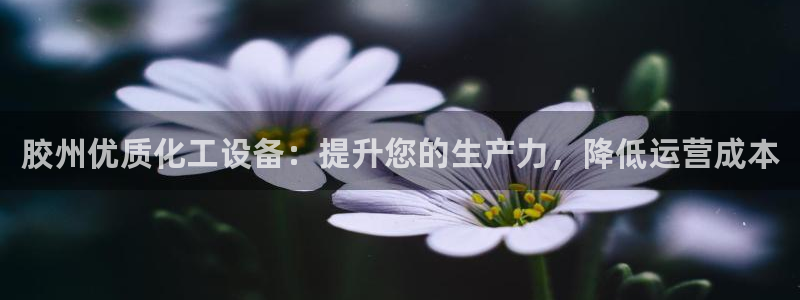 新宝GG平台登录注册