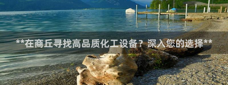 新宝gg游戏首页