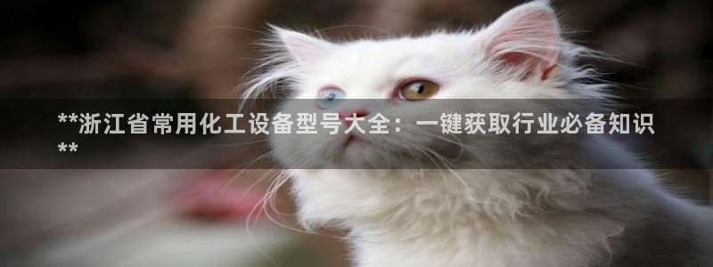 新宝gg平台—创造奇迹登录