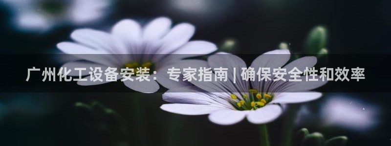 新宝gg创造奇迹平台怎么样