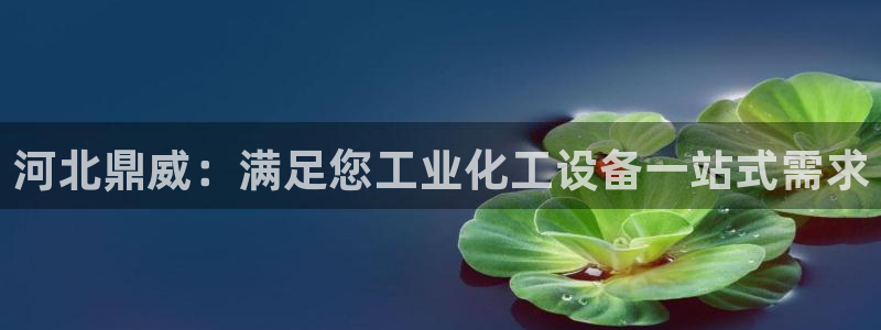 新宝gg注册网址
