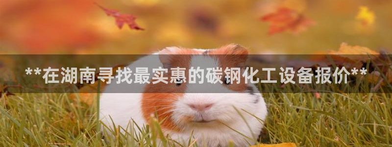 新宝gg5账号登录