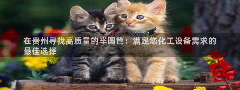 新宝gg创奇迹登录注册