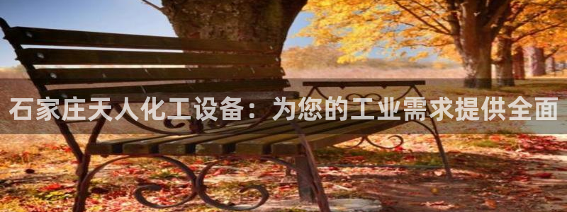 新宝gg创造奇迹登录入口网址