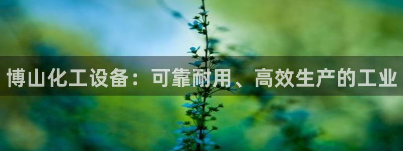 新宝GG平台开户