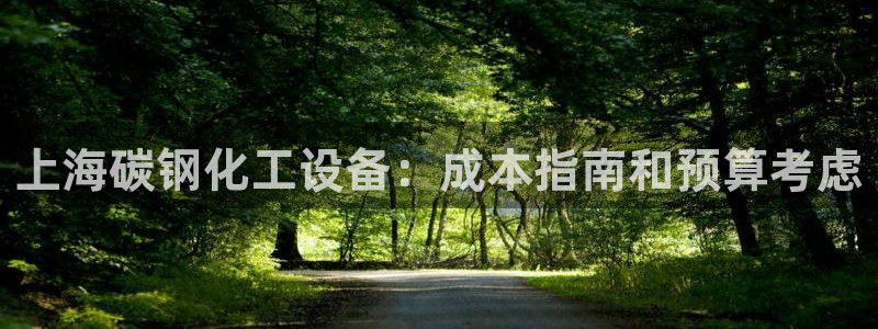 新宝gg创造奇迹登录入口网址