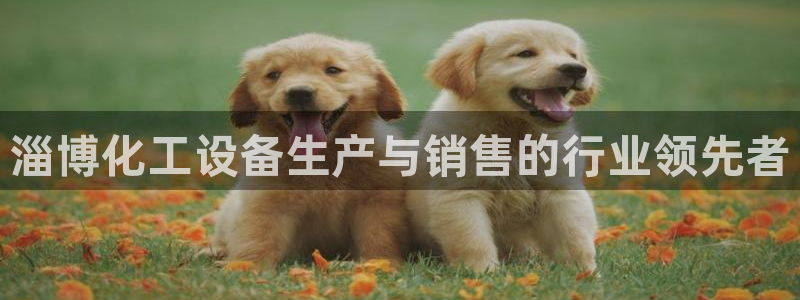新宝gg一创造奇迹代理