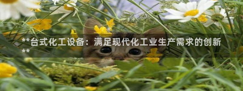 新宝gg一创造奇迹代理测速