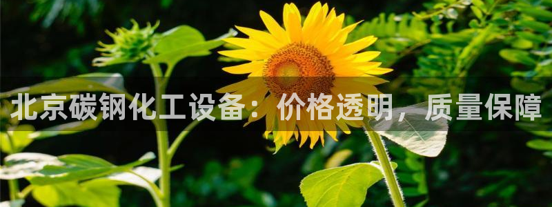 新宝gg创造奇迹官网