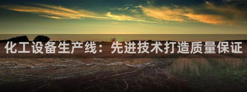 新宝gg平台登录手机版