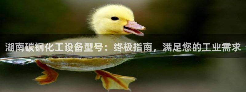 新宝gg登录不了是什么原因
