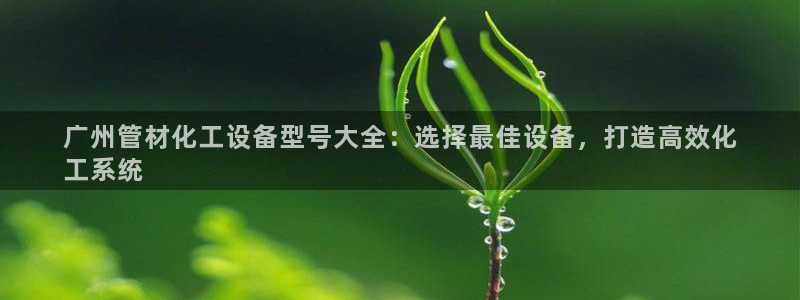 新宝gg官网登录地址