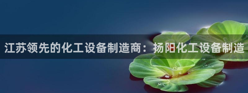 新宝gg真的能赚钱么