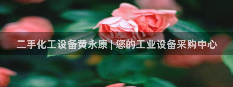 新宝gg平台—创造奇迹赌博