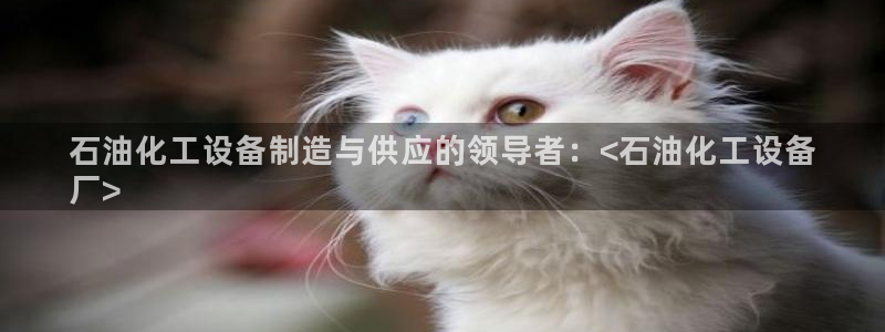 新宝GG平台招商