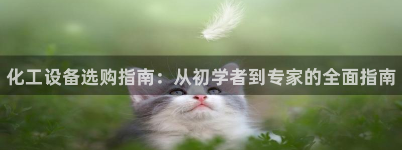 新宝gg创造奇迹登录首页