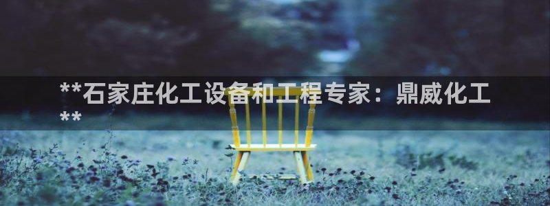 新宝gg平台登录手机版
