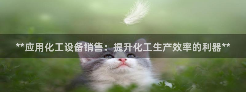 新宝GG平台负责人