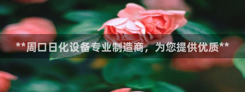新宝gg创造奇迹官网