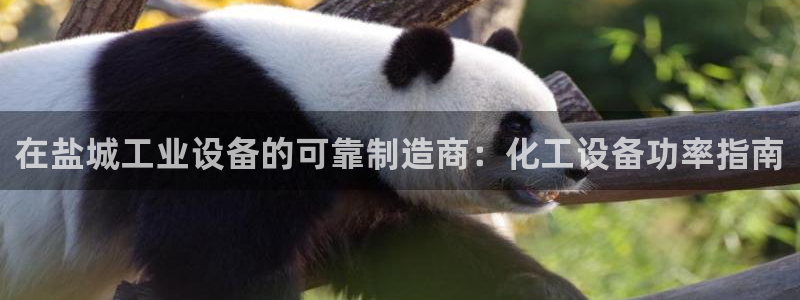 新宝gg奇迹登录