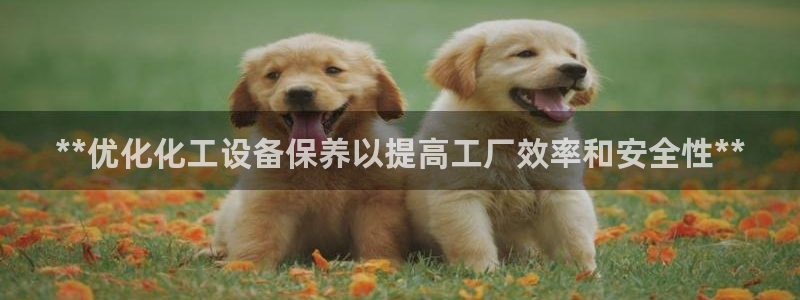 新宝gg一创造奇迹代理