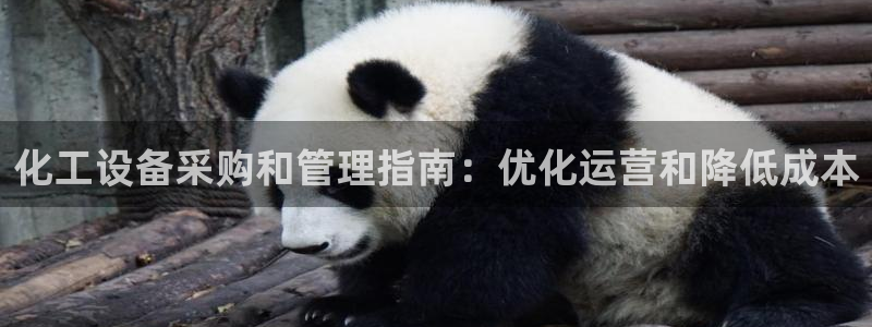 新宝gg官网登录地址