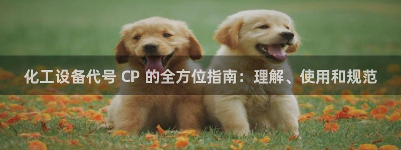 新宝gg5账号登录