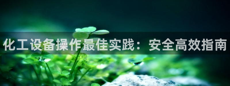 新宝gg最新更新内容与历史回顾