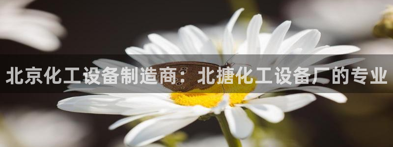 新宝gg创造奇迹官方登录