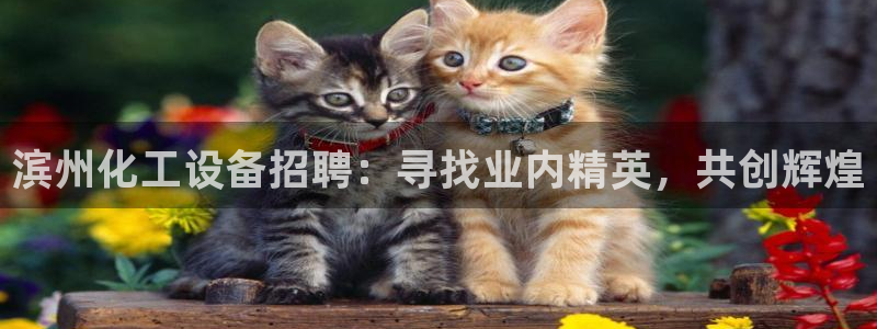 新宝gg账号首页