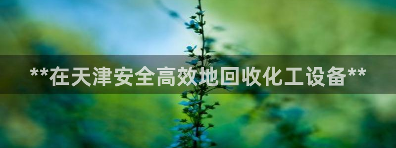 新宝gg创造奇代理加盟