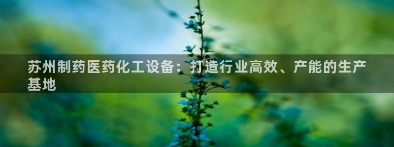 新宝GG创奇迹