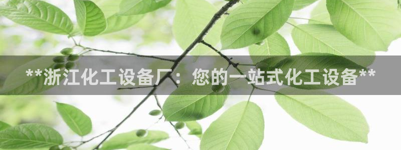 新宝gg创造奇迹官网
