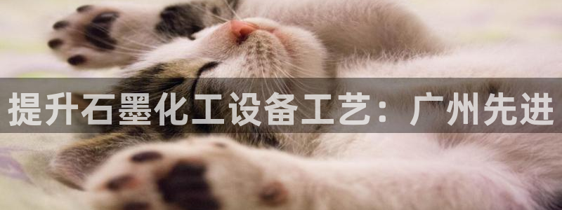 新宝GG平台开户