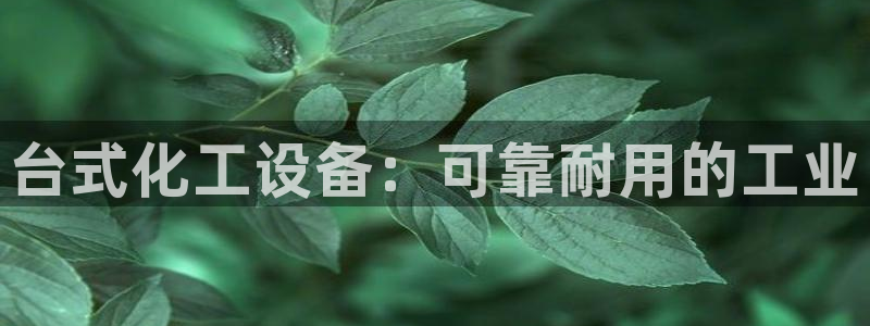 新宝gg登录不上去了
