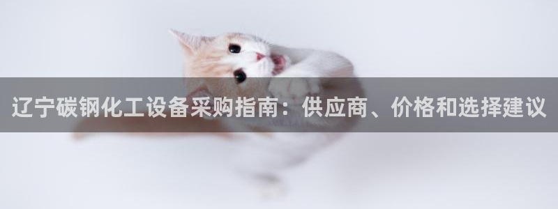 新宝gg平台注册登录指南：辽宁碳钢化工设备采购指南