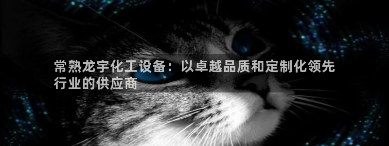 新宝gg：常熟龙宇化工设备：以卓越品质和定制化领先
行业的供