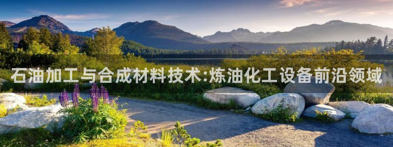 新宝gg一创造奇迹用户登录：石油加工与合成材料技术